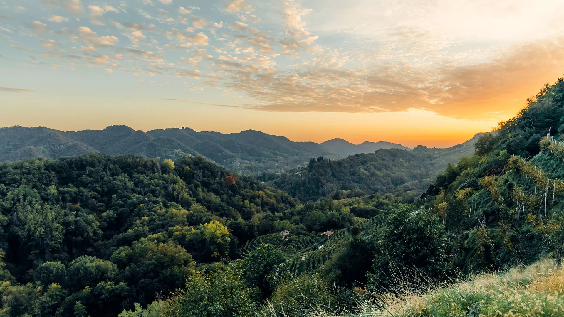 terre di capelvenere conegliano valdobbiadene prosecco superiore docg